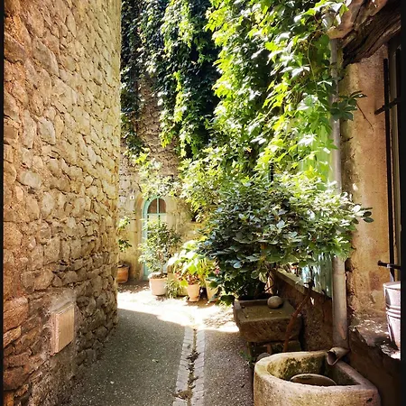 Bnb Vigne Vierge