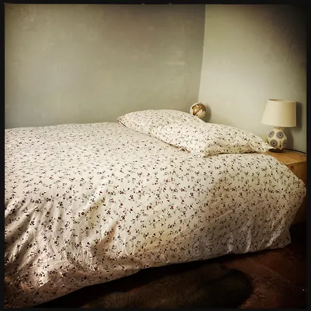 Bnb Vigne Vierge Bed & Breakfast
