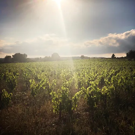 Bnb Vigne Vierge Bed & Breakfast Aigne (Herault)