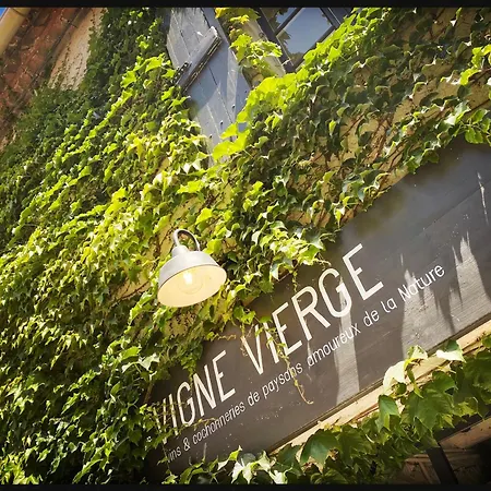 Bnb Vigne Vierge *