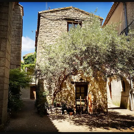 Bnb Vigne Vierge Bed & Breakfast *